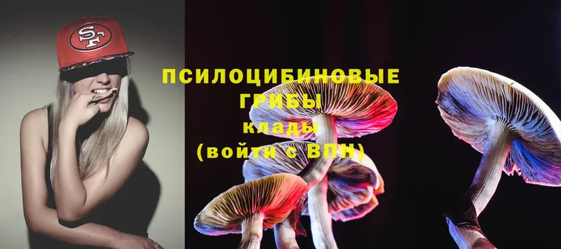 Псилоцибиновые грибы Magic Shrooms  MEGA онион  Мирный 